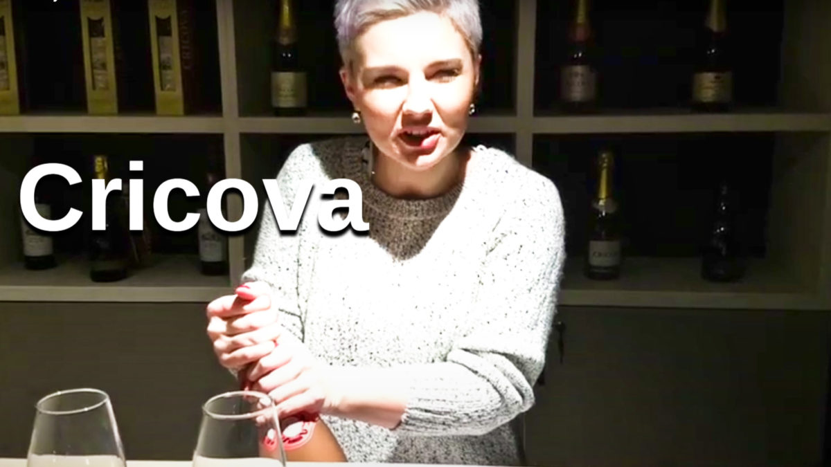 Cricova Winery – Trailer