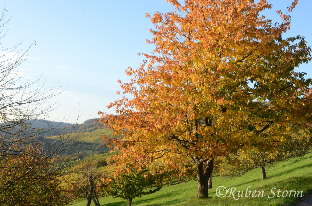 Herbstfarben