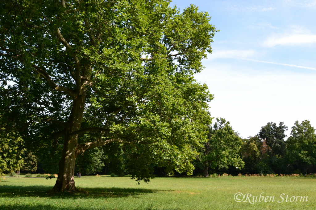 Unterer Schlossgarten