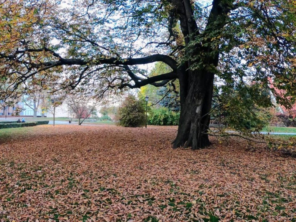 Warschau, Polen